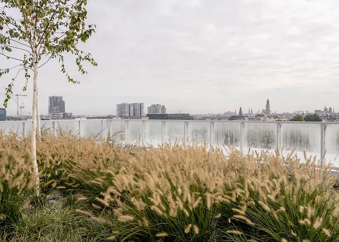 Rentplanet - Braniborska Wroclaw